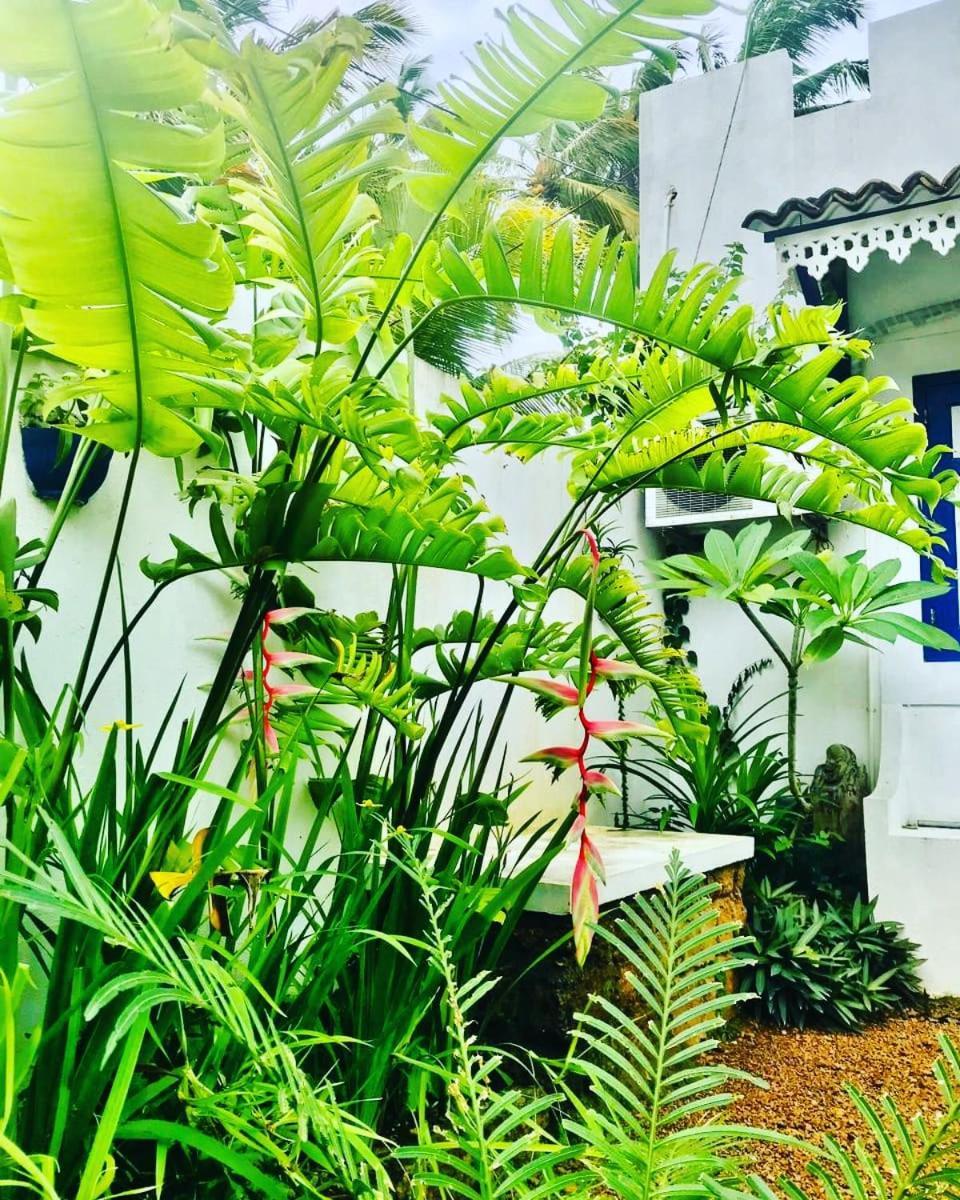 Sriyan Villa Beruwala Εξωτερικό φωτογραφία